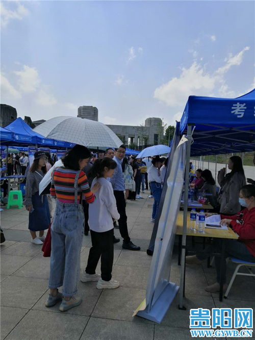 贵阳高新区三场招聘 713人初步达成意向